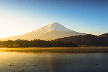 集大成のプログラム